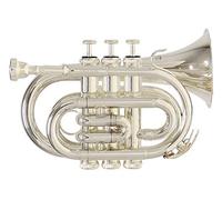 Roy Benson Bb pocket trumpet PT-101S (placcata in argento, con leadpipe in ottone dorato e valvole in acciaio inossidabile, custodia rettangolare leggera inclusa, per il musicista elegante)