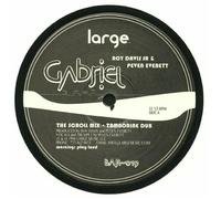 Roy Davis Jr Gabriel (Vinyl LP)