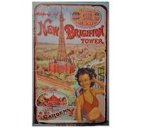 Roy Dutton The History of New Brighton Tower (Copertina rigida)