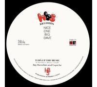 roy hamilton & capiche-turn up the music