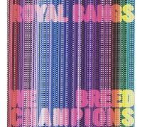 Royal Bangs - We Breed Champions