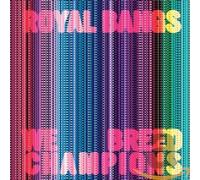 Royal Bangs - We Breed Champions -Digi