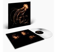 Royal Blood Back To The Acqua Sotto ( Indie Colore LP) + Personalmente Signed
