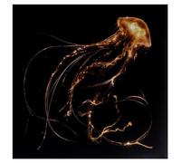 Royal Blood Back to the Water Below (Vinyl LP)