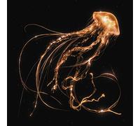 Royal Blood Back to the Water Below (Vinyl LP)