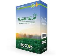 ROYAL BLUE PLUS BOTTOS 1KG SEMENTI PROFESSIONALI CONCIATE PRATO VERDE RESISTENTE