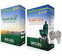 Royal Blue PLus, Sementi per tappeto erboso ideale per zone rustiche 1Kg + Concime per Prato Start Life 2 kg Primo Sviluppo Tappeto Erboso Giardino * inclusi GUANTI VF UTILIA IN NITRILE/NYLON *