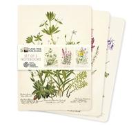 Royal Botanic Gardens Edinburgh Set of 3 Standard Notebooks