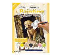Royal Brush Junior Small Paint By Number Kit 8-3/4" X 11-3/4"-Labrador Puppy