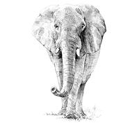 Royal Brush Sketching Made Easy Kit 22,9 x 30,5 cm, Elefante