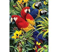 Royal Brush Various Junior Small Paint By Number Kit 8.75-inch x 11.75-inch, Majestic Macaws