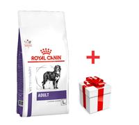 Royal Canin Adult Large Dog 13 kg