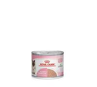 Royal Canin Mother & Babycat Mousse - cibo umido pastoso per cuccioli di gatto 195 g