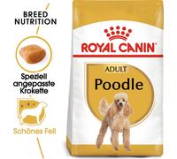 Royal Canin Dog Adult Poodle (Barboncino) - Royal Canin Dog Adult Poodle (Barboncino) - Any, Sacco Da 1,5 Kg