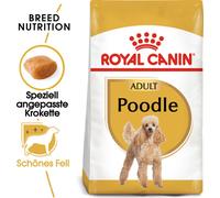 Royal Canin Poodle Adult 7,5 Kg
