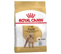 Royal Canin Barboncino (Poodle) Adult Crocchette per cane - 1,5 kg