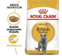 ROYAL CANIN British Shorthair 34 cibo secco per gatti 4 kg
