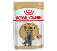 Royal Canin British Shorthair Adult umido in Salsa per gatti - 12 x 85 g