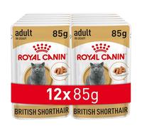 Umido Royal Canin British Shorthair Adult in Salsa - 12 x 85 g