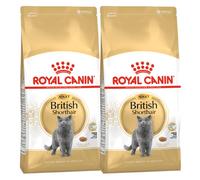 ROYAL CANIN British Shorthair cibo secco per gatti britannici a pelo corto 2 ...