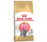 ROYAL CANIN British Shorthair Kitten 10kg x2