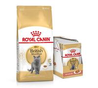 ROYAL CANIN British Shorthair secco10kg + umido 12x85g