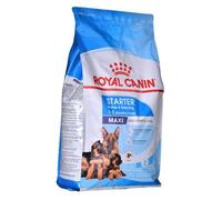 ROYAL CANIN Maxi starter mother & babydog 4 kg