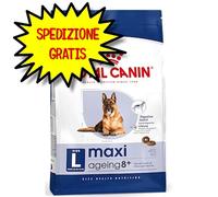 ROYAL CANIN CANE MAXI AGENING + 8 ANNI 3 KG