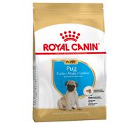 Royal Canin Royal Canin Cibo Secco Per Cani Pug Junior 1,5 Kg