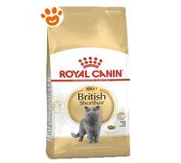 Royal Canin Cat Adult British Shorthair - Royal Canin Cat Adult British Shorthair - Sacco Da 2 Kg