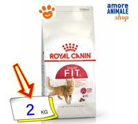 Royal Canin Cat Fit 32 Cibo Secco Gatti 400 gr/2/4/10 Kg
