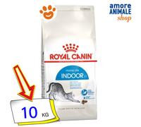 Royal Canin Cat Home Life Indoor Cibo Secco Gatti 400 gr/2/10 Kg