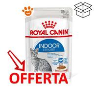 Royal Canin Indoor Sterilised Gravy - cibo umido in salsa per gatti adulti tenuti in casa 12 x 85 g