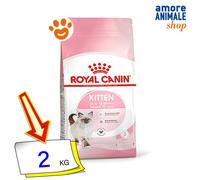 Royal Canin Cat Kitten Cibo Secco Gatti 400 gr/2/4/10 Kg
