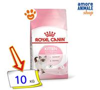 ROYAL CANIN Kitten - 10 kg
