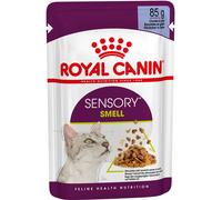 ROYAL CANIN Cat Sensory Smell in Gelatina Busta Multipack 48x85G CARNI E DERIVATI
