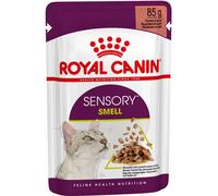 ROYAL CANIN Cat Sensory Smell in Salsa Busta Multipack 48x85G CARNI E DERIVATI