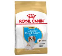Royal Canin Cavalier King Charles Puppy - 1,5 kg