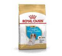 Royal Canin Cavalier King Charles Puppy - 1,5 kg