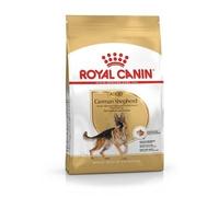 Royal Canin Crocchette Royal Canin German Shepherd Adult, 11kg
