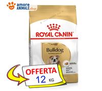 Royal Canin Dog → Adult, BULLDOG - 3 / 12 kg - Crocchette Cane Per Cani