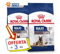 Royal Canin Maxi Agein 8+ Kg 3 . Cibo Secco Per Cani Anziani ROYAL CANIN