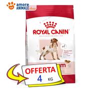 Royal Canin Medium Adult Alimento Completo per Cani Adulti di Taglia Media 4KG