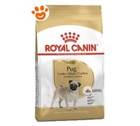 Royal Canin Royal Canin Cibo Secco Per Cani Pug Adult 1,5 Kg