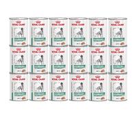 ROYAL CANIN Glycobalance Low Carbohydrate 24x410g