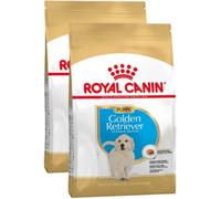 ROYAL CANIN Golden Retriever Puppy Alimento completo per cuccioli di razza fino a 15 mesi 12KG