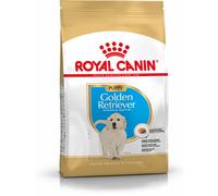 ROYAL CANIN Golden Retriever Puppy Alimento completo per cuccioli di razza fino a 15 mesi 3KG