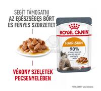 Royal Canin Intense Beauty Care - cibo umido in salsa per gatti adulti, supporta la pelle e il pelo 12 x 85 g