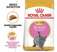 ROYAL CANIN Kitten British Shorthair - 2 kg
