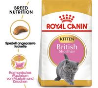 Royal Canin British Shorthair Kitten - cibo secco per cuccioli di gatto British Shorthair 400 g